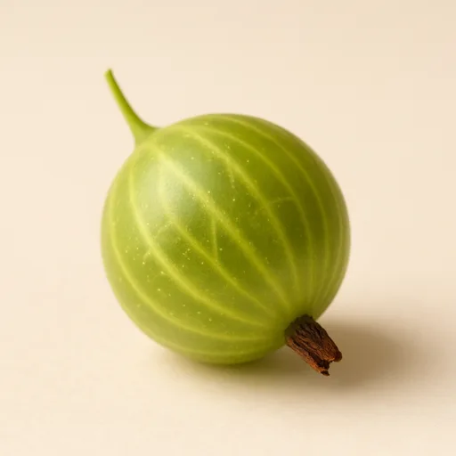 gooseberry